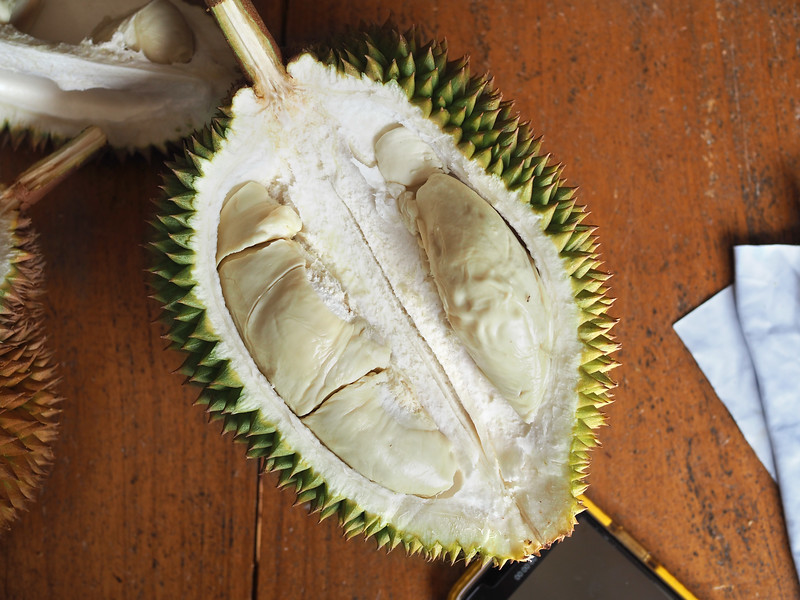 Detail Gambar Durian Lokal Nomer 13