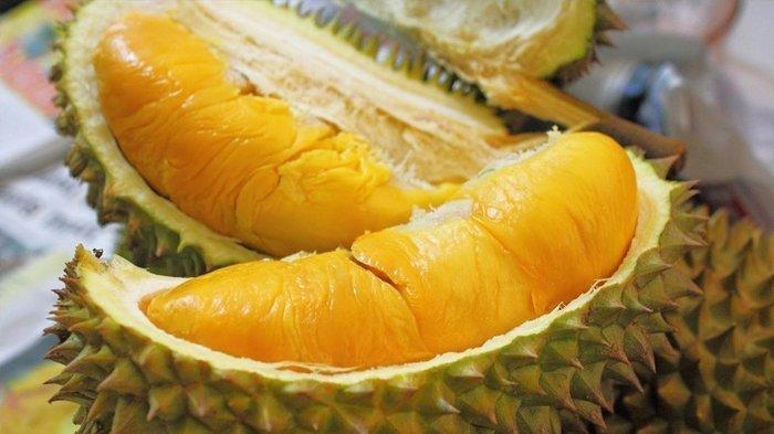 Detail Gambar Durian Lokal Nomer 15