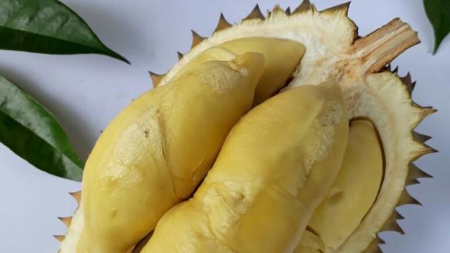 Detail Gambar Durian Lokal Nomer 19