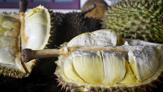 Detail Gambar Durian Lokal Nomer 23