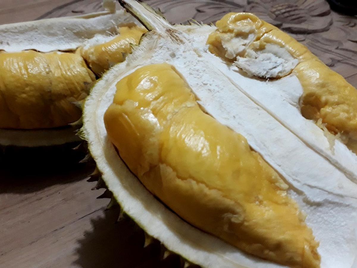 Detail Gambar Durian Lokal Nomer 26