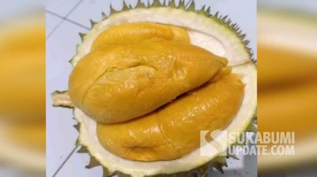 Detail Gambar Durian Lokal Nomer 27