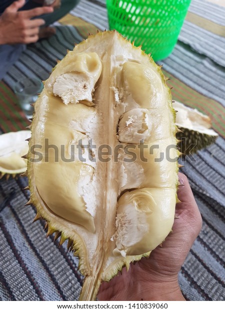 Detail Gambar Durian Lokal Nomer 29