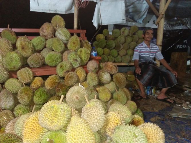 Detail Gambar Durian Lokal Nomer 31