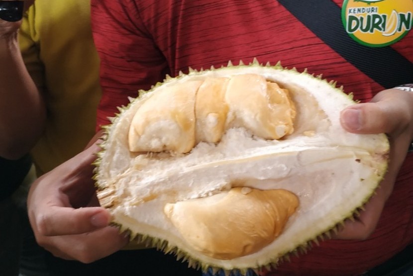 Detail Gambar Durian Lokal Nomer 38