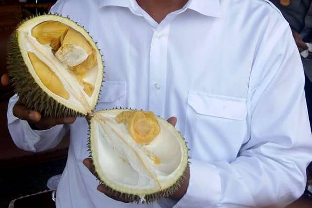 Detail Gambar Durian Lokal Nomer 46