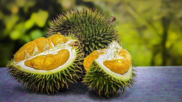 Download Gambar Durian Lucu Nomer 26