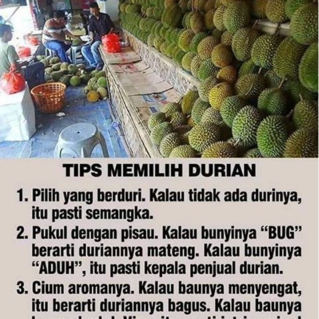 Detail Gambar Durian Lucu Nomer 5