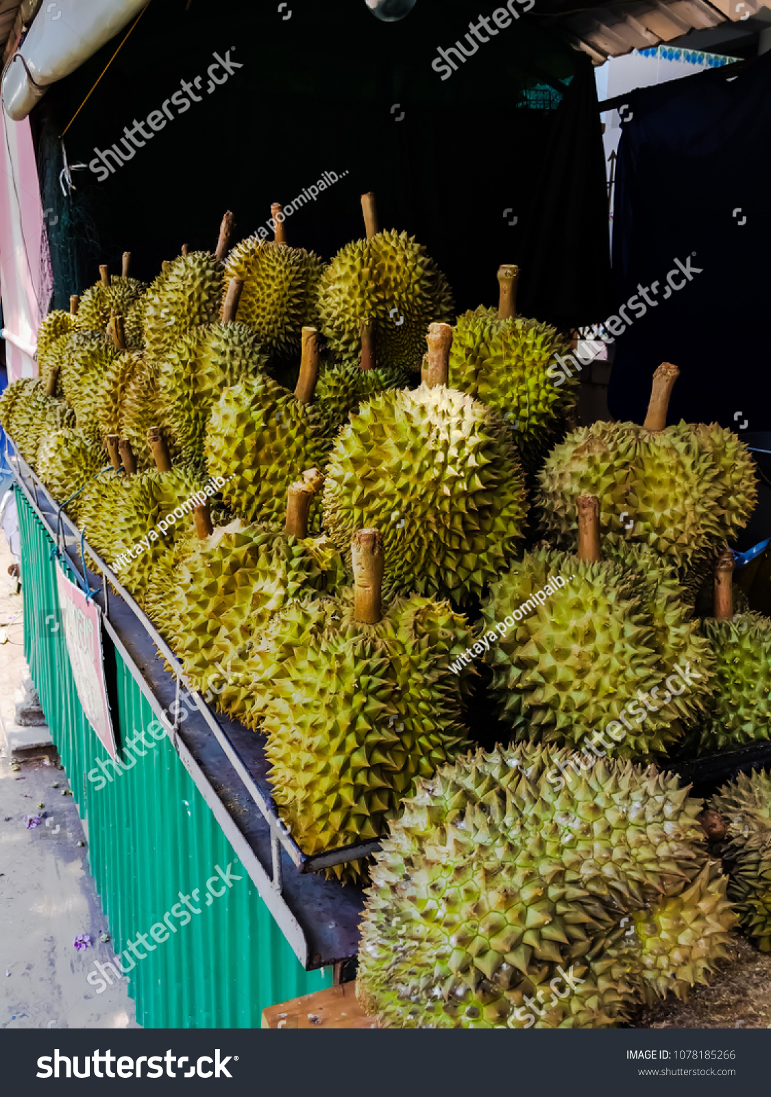 Detail Gambar Durian Montong Nomer 19