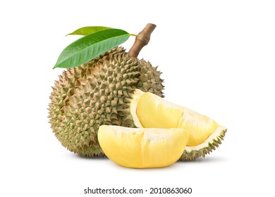 Detail Gambar Durian Montong Nomer 20