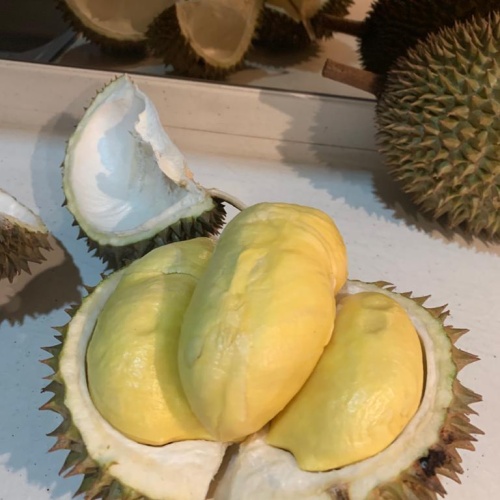 Detail Gambar Durian Montong Nomer 21