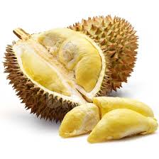 Detail Gambar Durian Montong Nomer 44