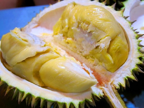 Detail Gambar Durian Montong Nomer 9