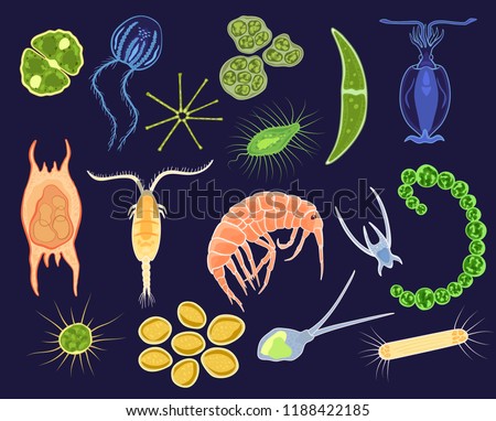 Detail Gambar Dzooplankton Background Putih Nomer 4