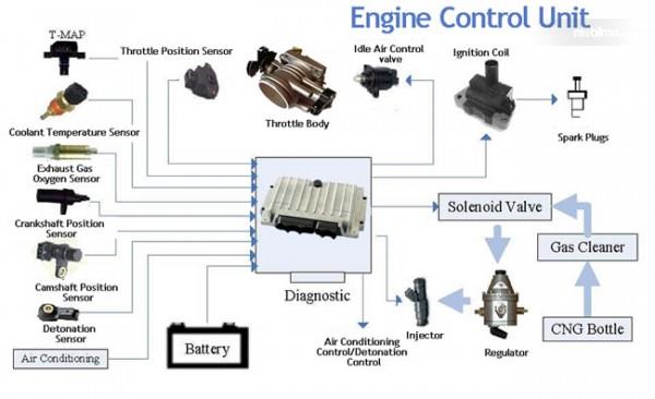 Detail Gambar Ecm Pada Motor Injeksi Nomer 2