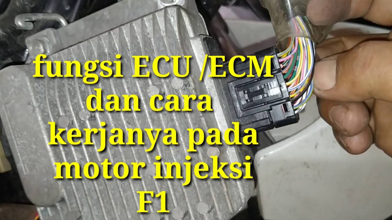 Detail Gambar Ecm Pada Motor Injeksi Nomer 6