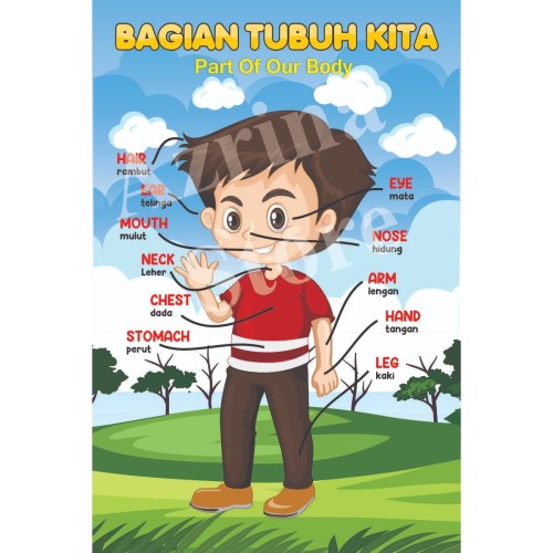 Detail Gambar Edukasi Untuk Anak Tk Nomer 17