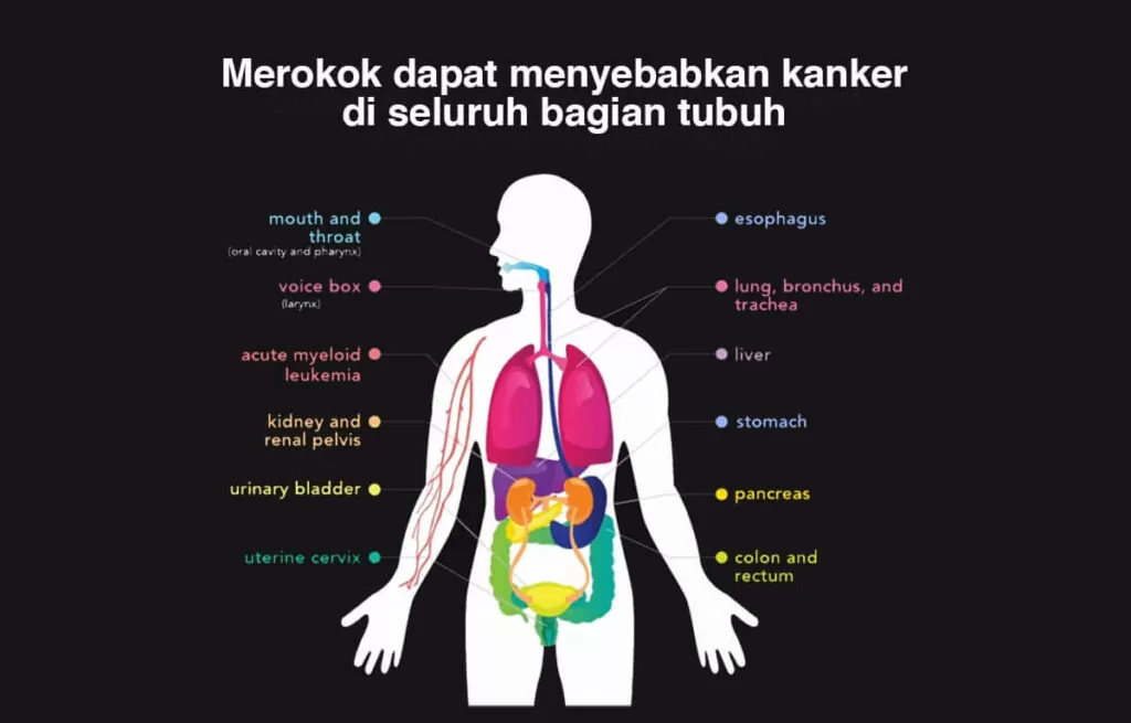 Detail Gambar Efek Merokok Nomer 13