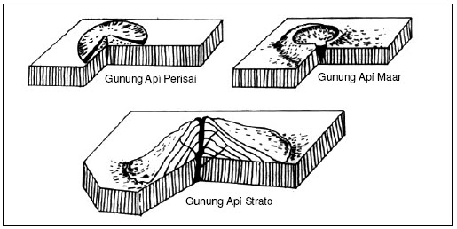 Detail Gambar Efflata Allogen Nomer 43