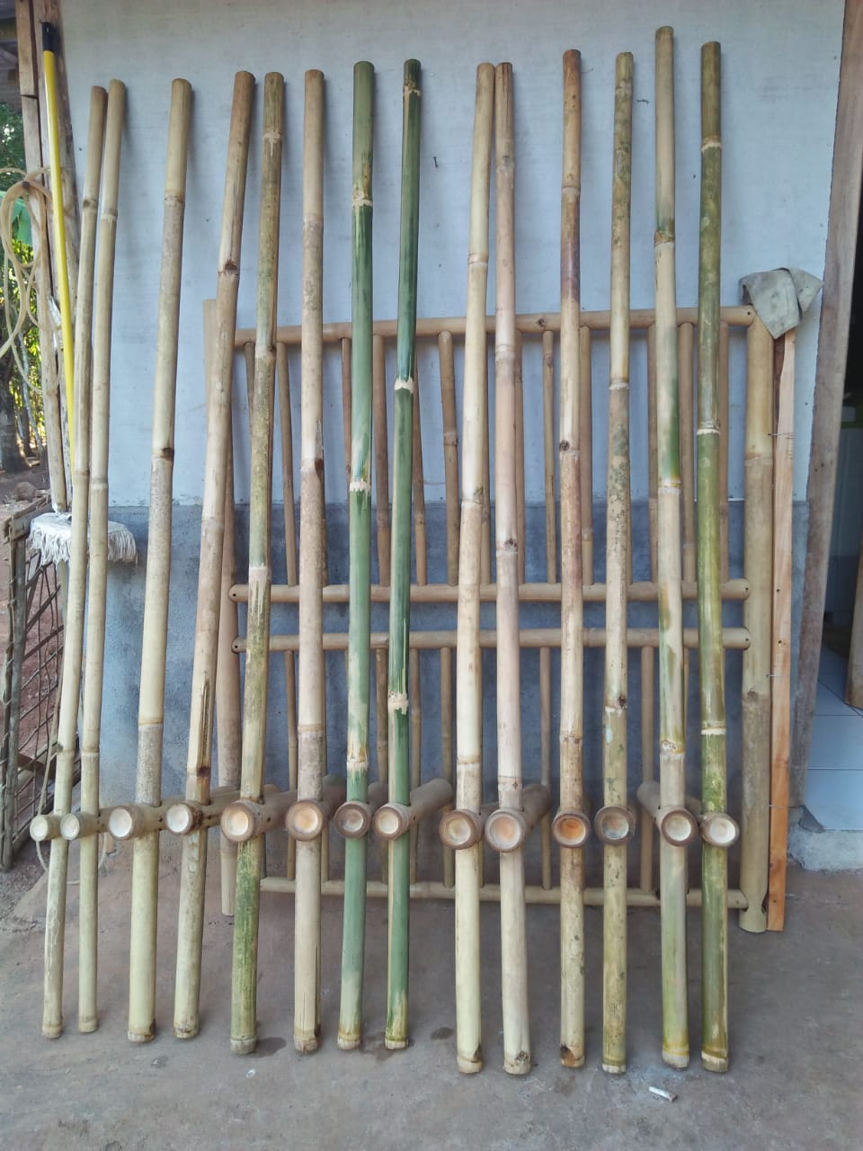 Detail Gambar Egrang Bambu Nomer 16