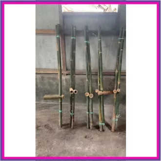Detail Gambar Egrang Bambu Nomer 39