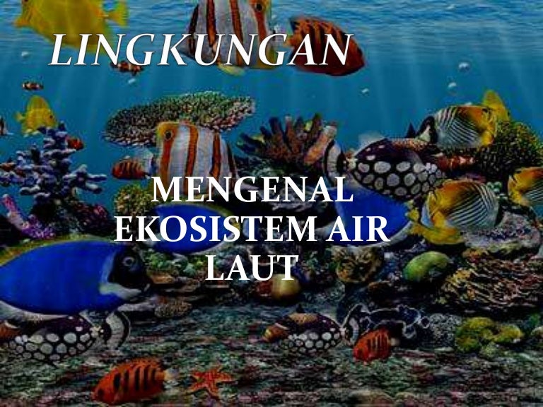 Detail Gambar Ekosistem Air Laut Nomer 23