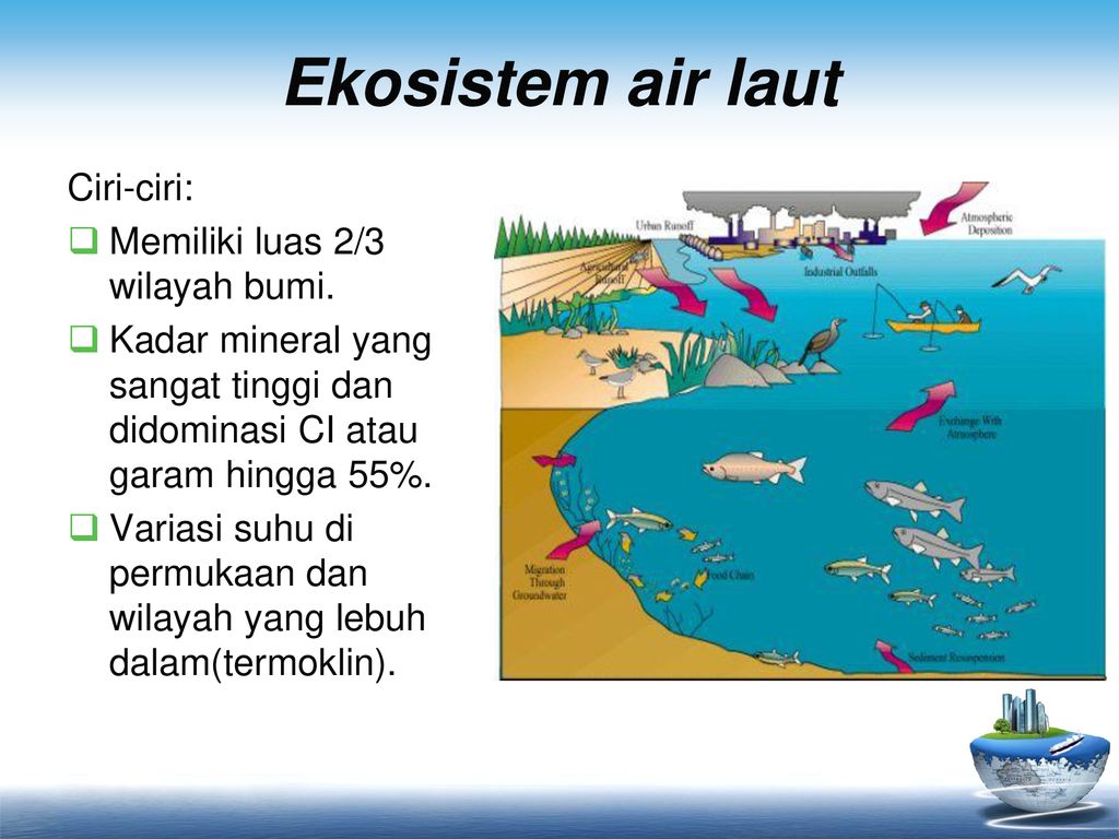 Detail Gambar Ekosistem Air Laut Nomer 28