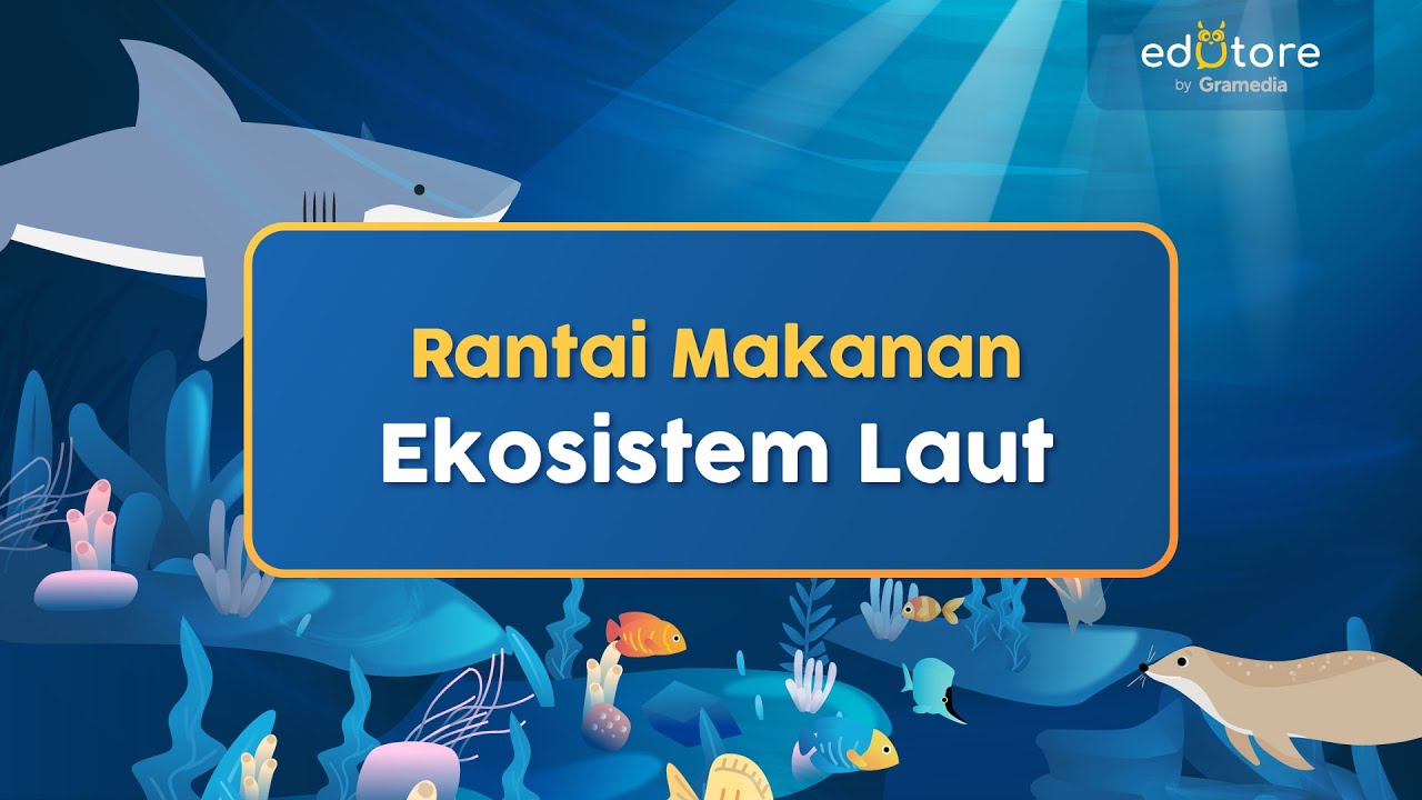 Detail Gambar Ekosistem Air Laut Nomer 39