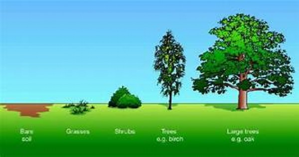 Detail Gambar Ekosistem Akuatik Nomer 45