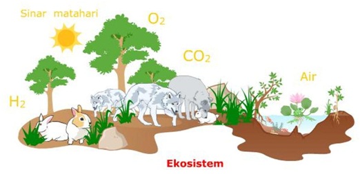 Detail Gambar Ekosistem Alam Nomer 21
