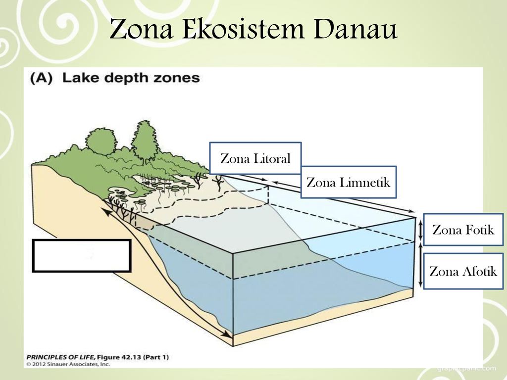 Detail Gambar Ekosistem Danau Nomer 50