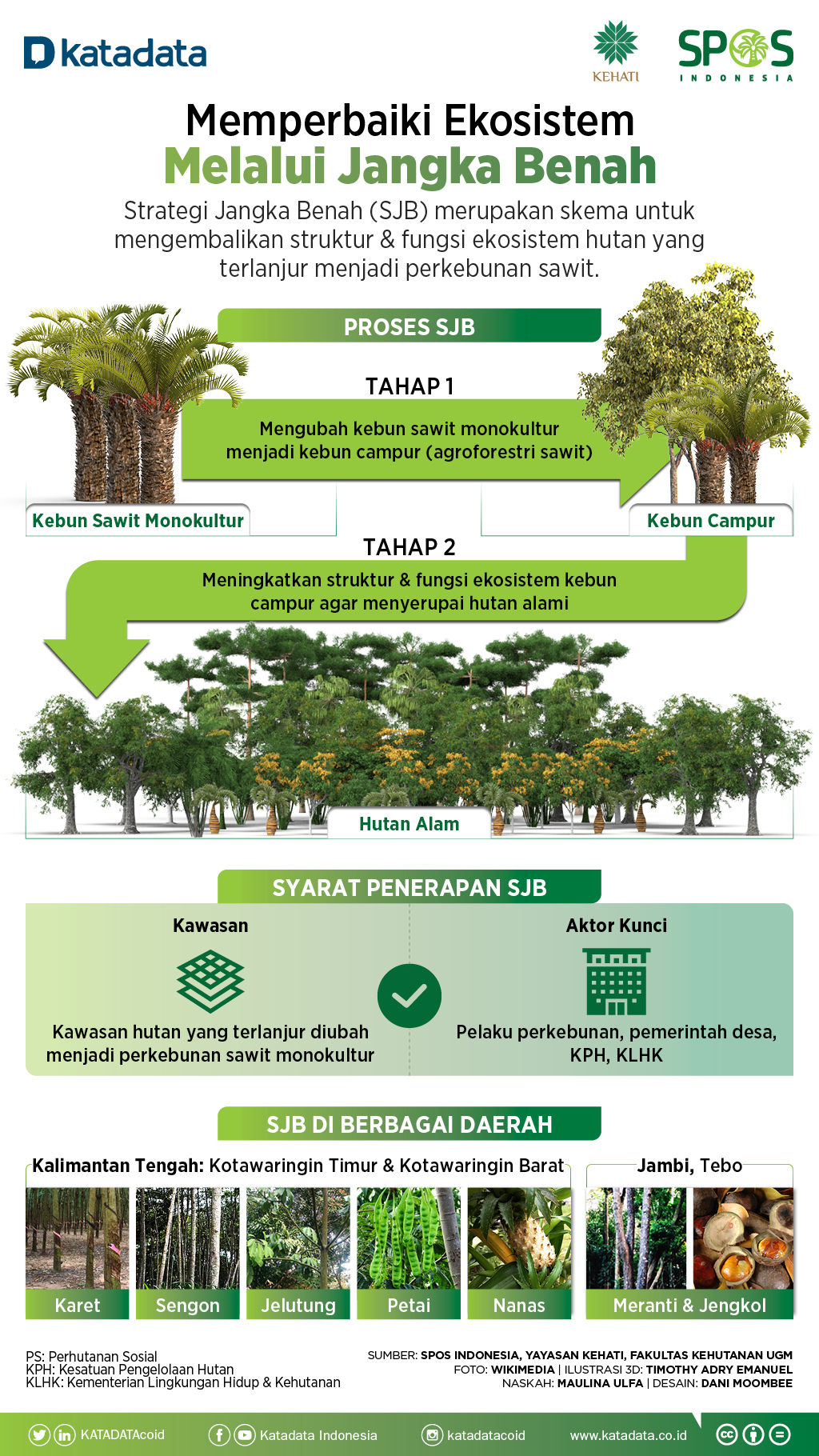 Detail Gambar Ekosistem Hutan Nomer 26