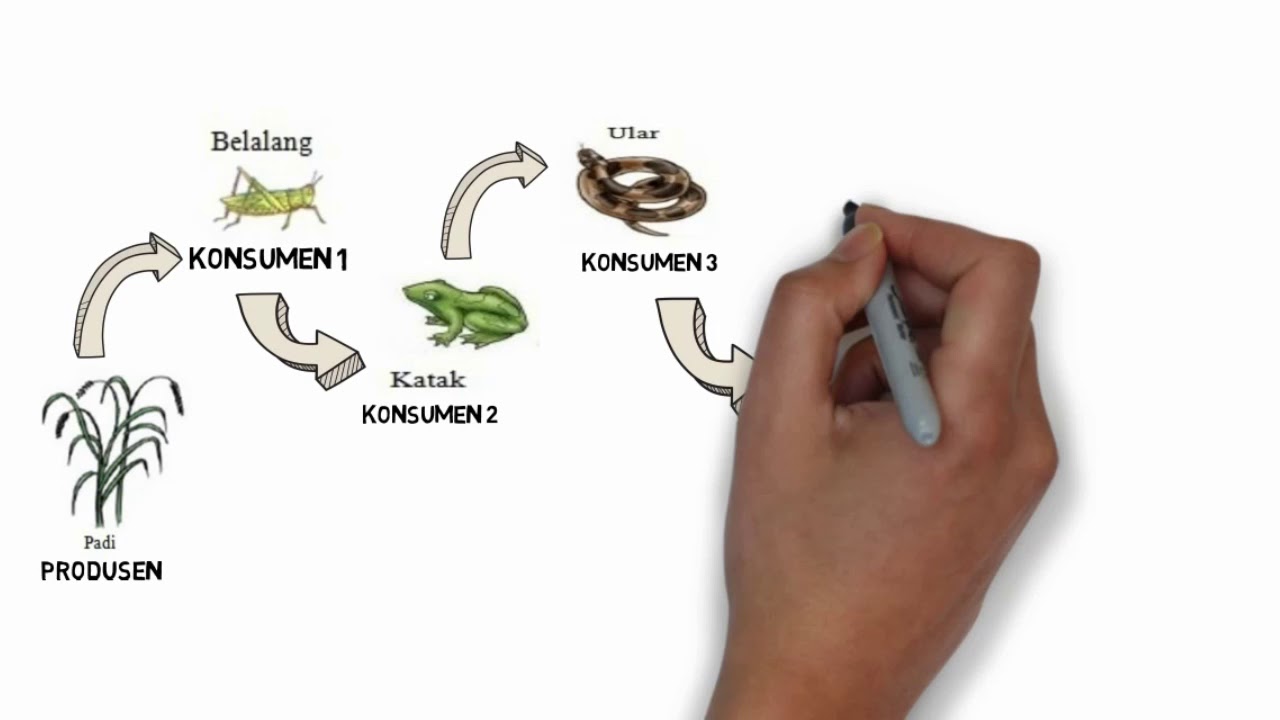 Detail Gambar Ekosistem Jaringan Kebun Nomer 34