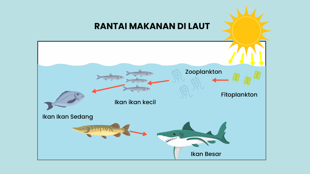 Detail Gambar Ekosistem Laut Gambar Ekosistem Laus Nomer 3