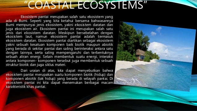 Detail Gambar Ekosistem Pantai Nomer 22