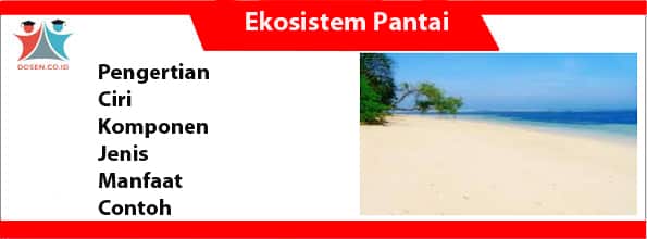 Detail Gambar Ekosistem Pantai Nomer 8