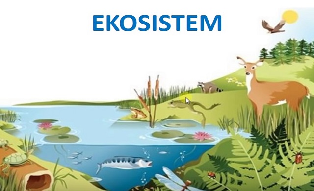 Detail Gambar Ekosistem Perairan Nomer 16