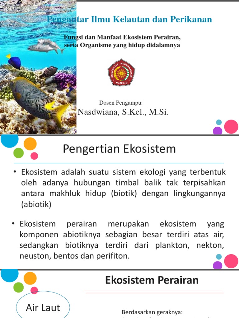 Detail Gambar Ekosistem Perairan Nomer 38
