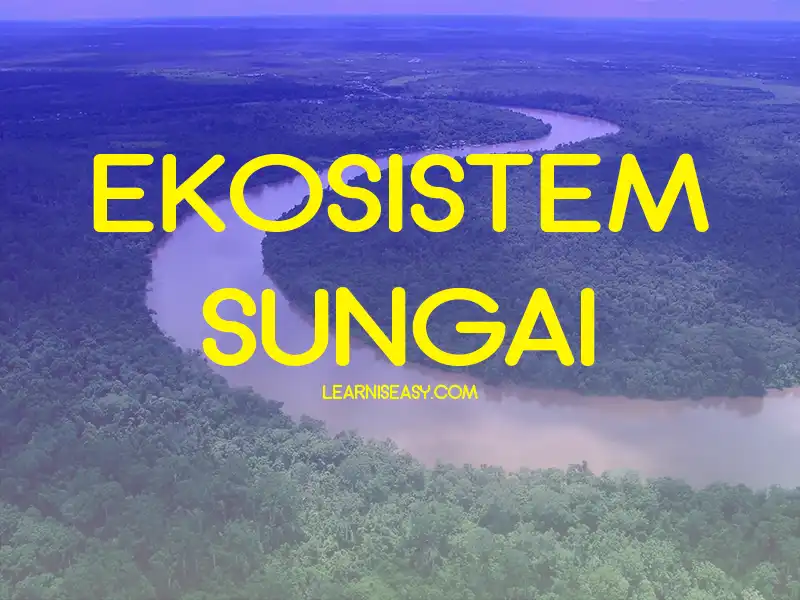 Detail Gambar Ekosistem Sungai Nomer 11