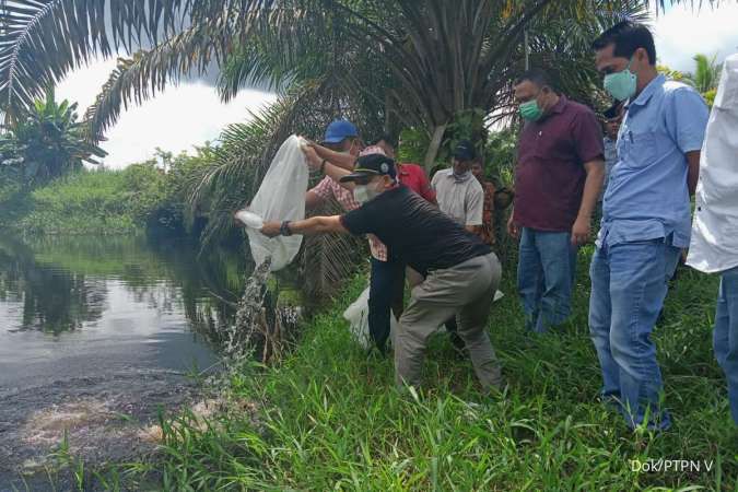 Detail Gambar Ekosistem Sungai Nomer 29