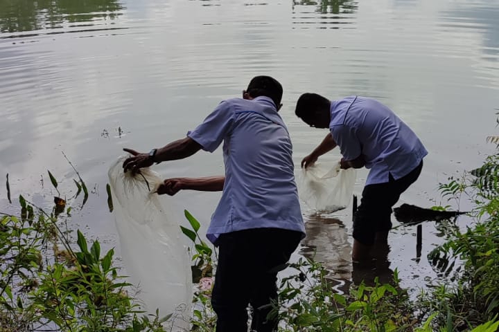 Detail Gambar Ekosistem Sungai Nomer 35