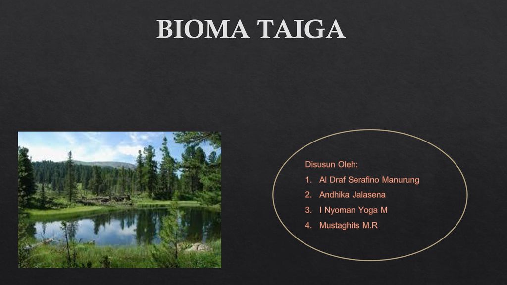 Detail Gambar Ekosistem Taiga Nomer 36