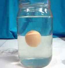 Detail Gambar Eksperimen Telur Mengapung Nomer 17