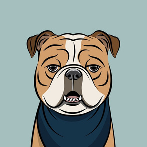 Detail Australische Bulldogge Nomer 19