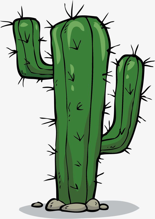 Cactus Toon - KibrisPDR
