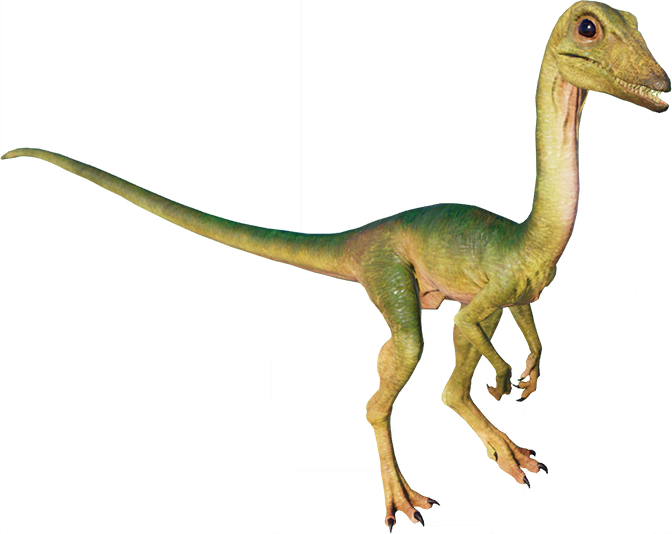 Detail Dilophosaurus Nahrung Nomer 11