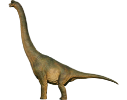 Detail Dilophosaurus Nahrung Nomer 17