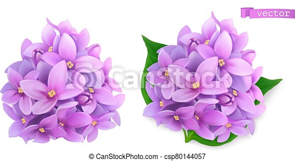 Detail Gambar Enceng Gondok Clipart Nomer 48