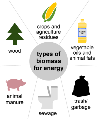 Detail Gambar Energi Bioenergy Nomer 4