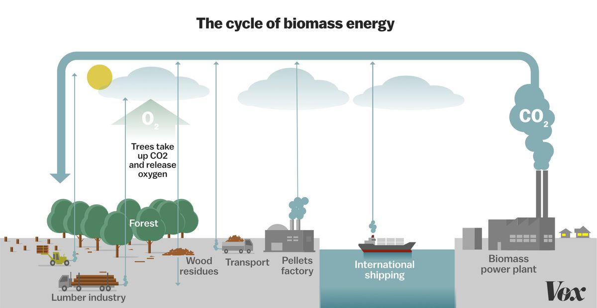Detail Gambar Energi Bioenergy Nomer 7
